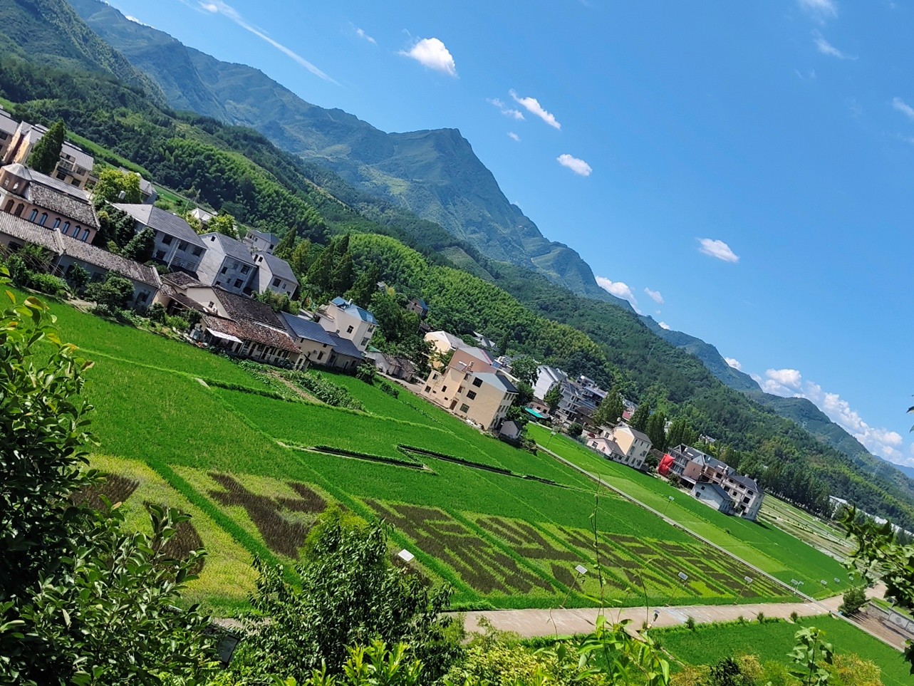 文化寻根调研团队赴黄南村追溯千年文脉